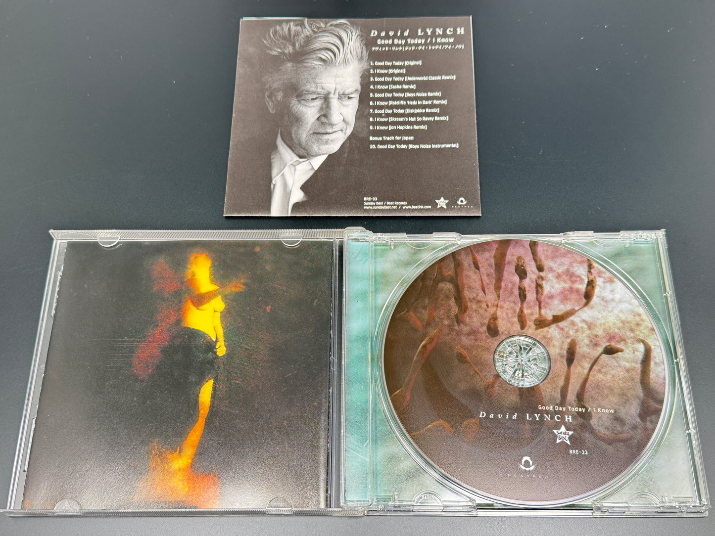 David Lynch Good Day Today I Know Japan Import CD Underworld,Jon Hopkins,Sasha