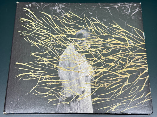 Forest Swords Engravings CD